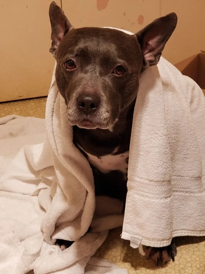 Bhunies Bath Time
