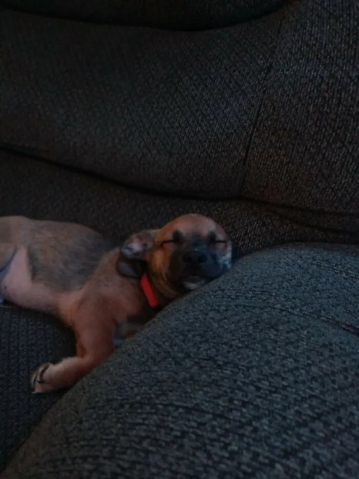 Baby Jaxx!