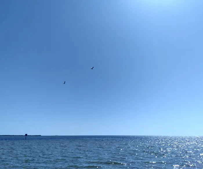 On Vacation In Flordia