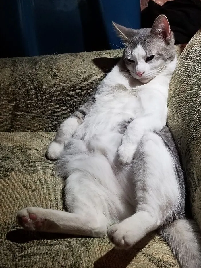 Mr. Grumpy-Butt