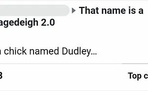 40 Of The Stupidest Names People Have Encountered That Made Them Wonder "What The Parents Were Thinking"