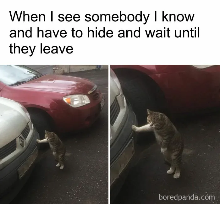 40 Funny ‘Antisocial Memes’ Introverts Might Relate To