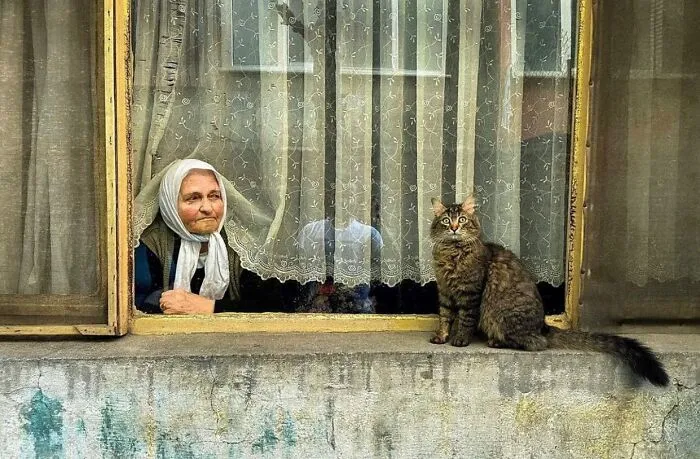 Esta cuenta de Instagram presenta divertidas fotografías urbanas y tiene más de 500 mil seguidores (30 nuevas fotos)