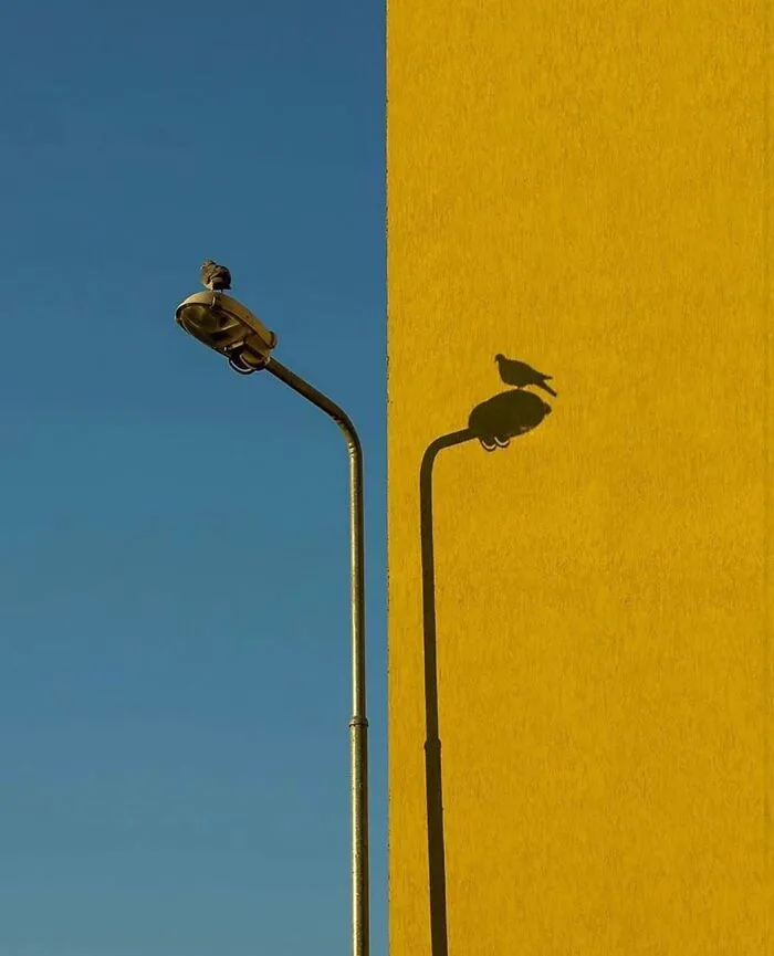 Esta cuenta de Instagram presenta divertidas fotografías urbanas y tiene más de 500 mil seguidores (30 nuevas fotos)