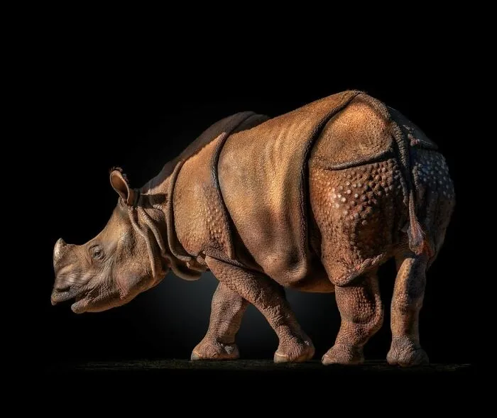 Wild Animals From Up Close: 30 Portraits By This Photographer