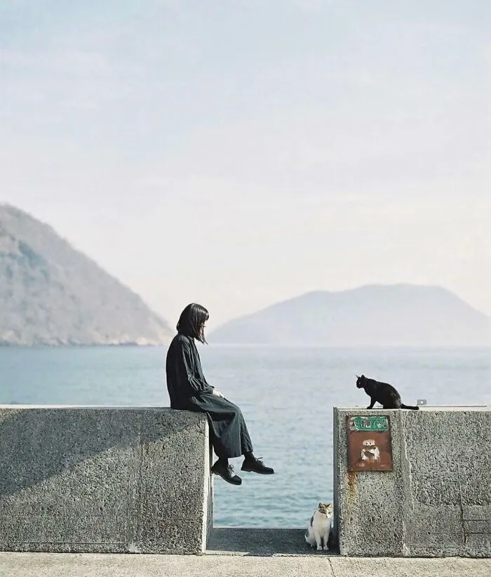 Esta cuenta de Instagram presenta divertidas fotografías urbanas y tiene más de 500 mil seguidores (30 nuevas fotos)