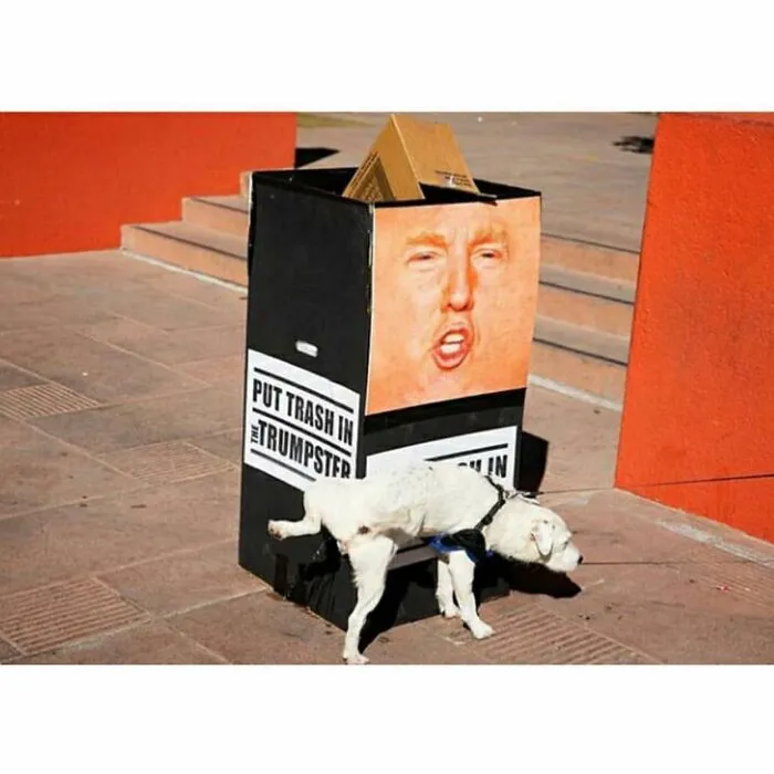 Esta cuenta de Instagram presenta divertidas fotografías urbanas y tiene más de 500 mil seguidores (30 nuevas fotos)