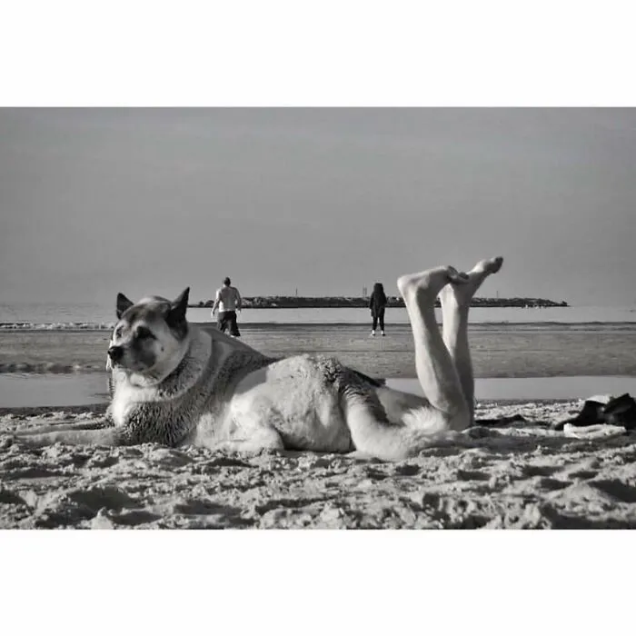 Esta cuenta de Instagram presenta divertidas fotografías urbanas y tiene más de 500 mil seguidores (30 nuevas fotos)