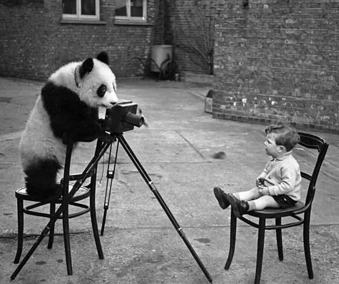 Esta cuenta de Instagram presenta divertidas fotografías urbanas y tiene más de 500 mil seguidores (30 nuevas fotos)