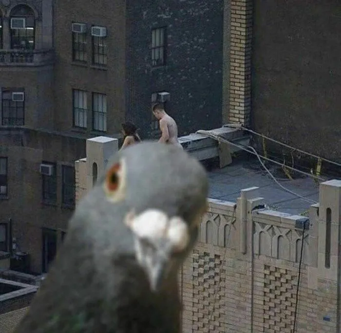 Esta cuenta de Instagram presenta divertidas fotografías urbanas y tiene más de 500 mil seguidores (30 nuevas fotos)