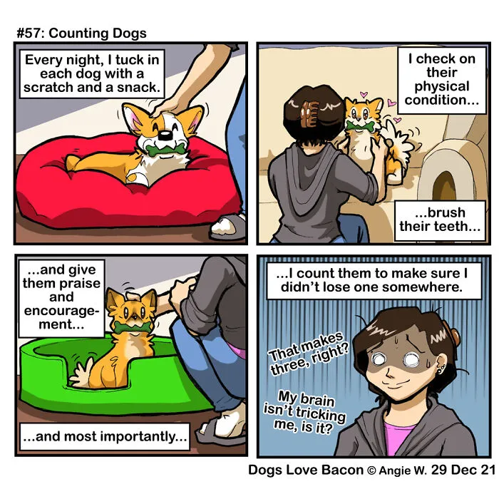 21 Comics I Made To Illustrate The Funny Reality Of Being A Dog Owner (New Pics)