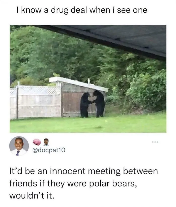 Cursed Bears