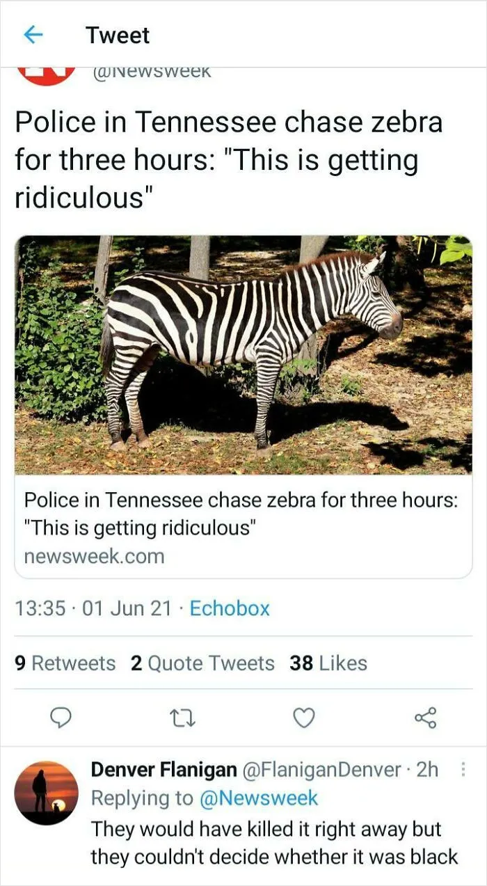 Cursed_confusion