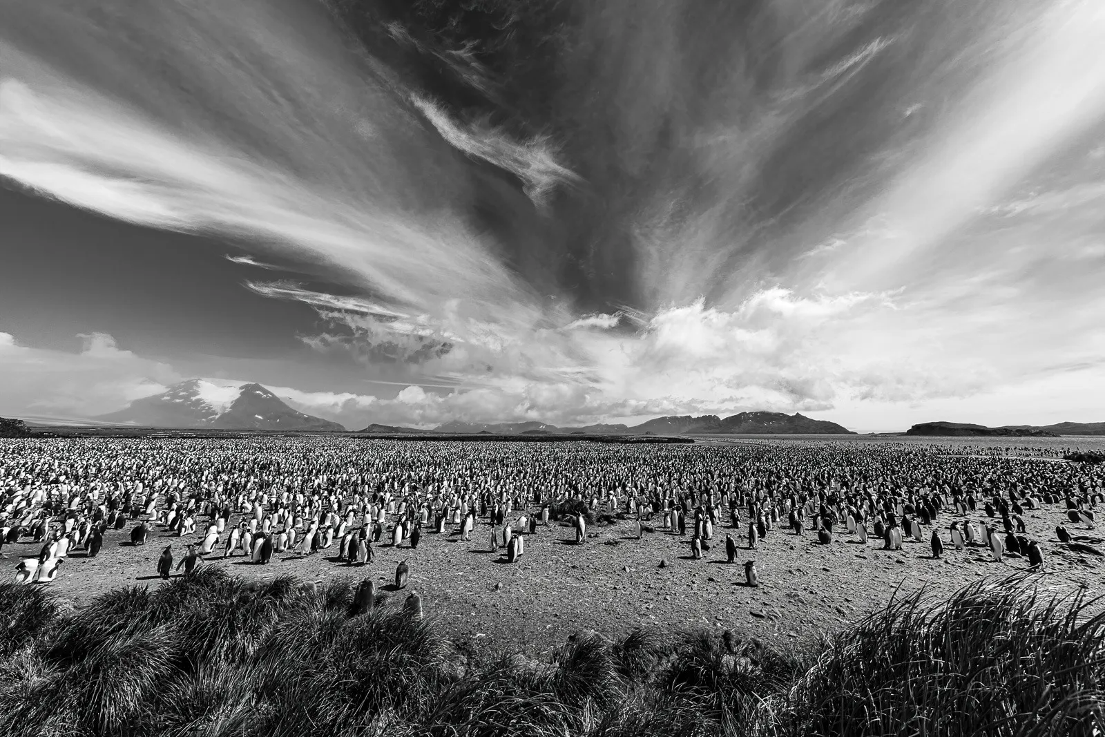 The Lost World