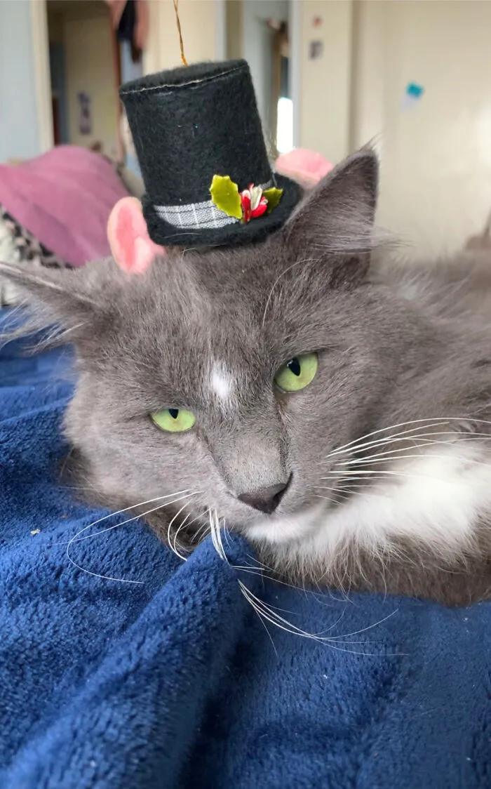 He Was Not Amused !