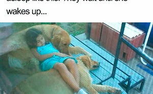 “This Is My Life Now”: 50 Funny Pics Of People And Animals Accepting Uncommon Situations