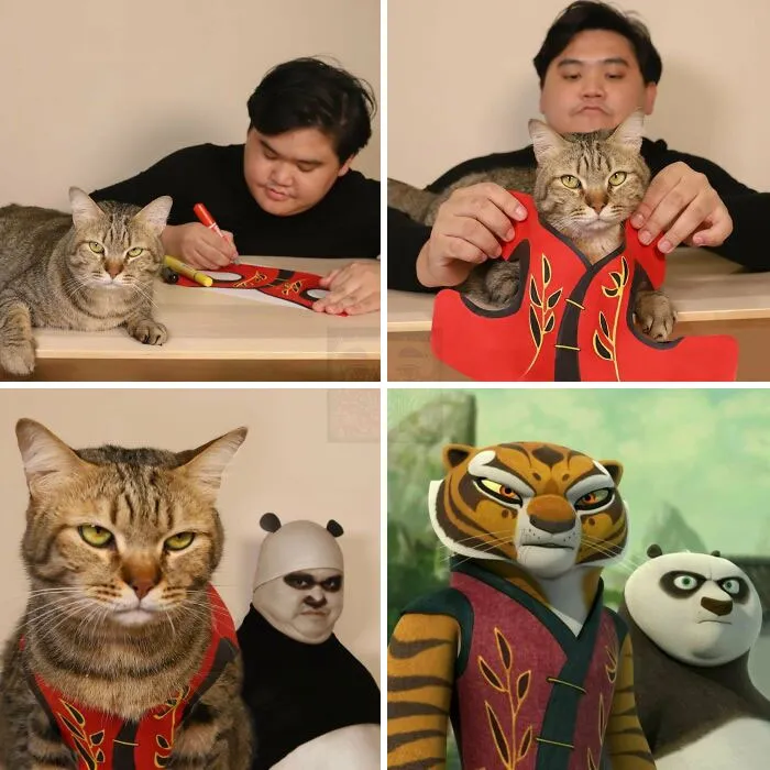 Tigress Isn't Amused