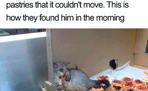 “This Is My Life Now”: 50 Funny Pics Of People And Animals Accepting Uncommon Situations