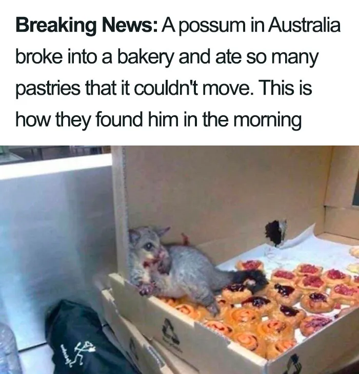 Well Done, Little Guy! Well Done!