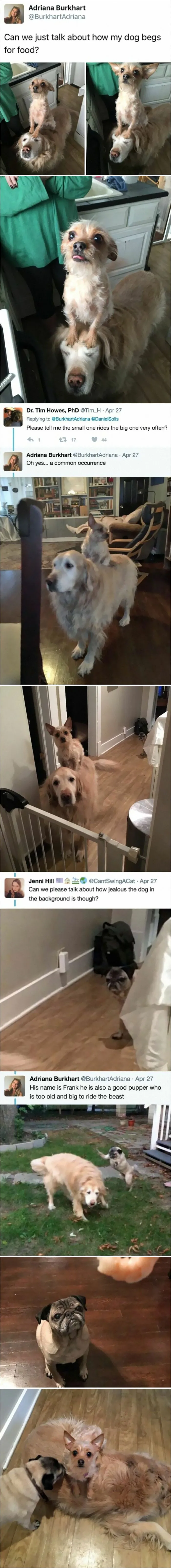 These Two Best Friend Have One Peculiar Story