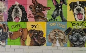 I Was Commissioned To Do The Largest Dog Caricature Mural For The City Of Bayswater, Australia (8 Pics)
