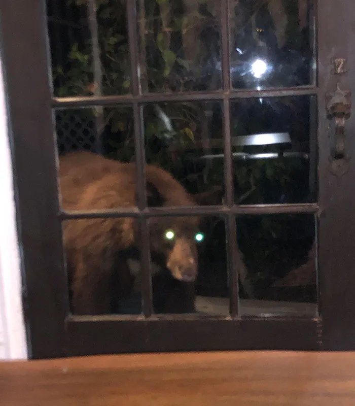 Was Playing Video Games When I Heard Sounds To My Left. Looked Over And Saw This