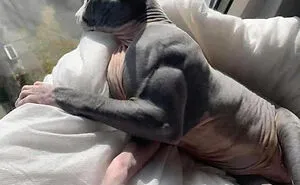 50 Pics Of Unusual-Looking Pets Who Won The Random Card In The Genetic Lottery