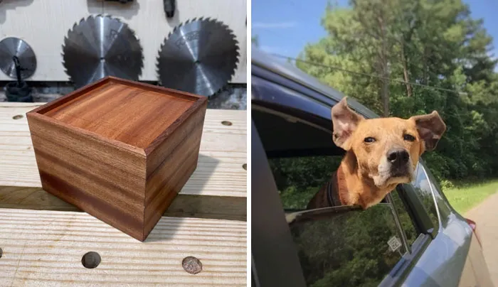 A Resting Place For My Best Friend