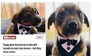 "Thanks, I Hate It": 40 Unsettling Things That Nobody Wanted To See, As Shared By This Online Group (New Pics)