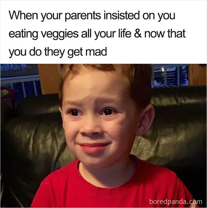 Over 350k People Follow This Instagram Account Dedicated To “Vegan Sarcasm” And Here Are 30 Of The Funniest Memes Posted There