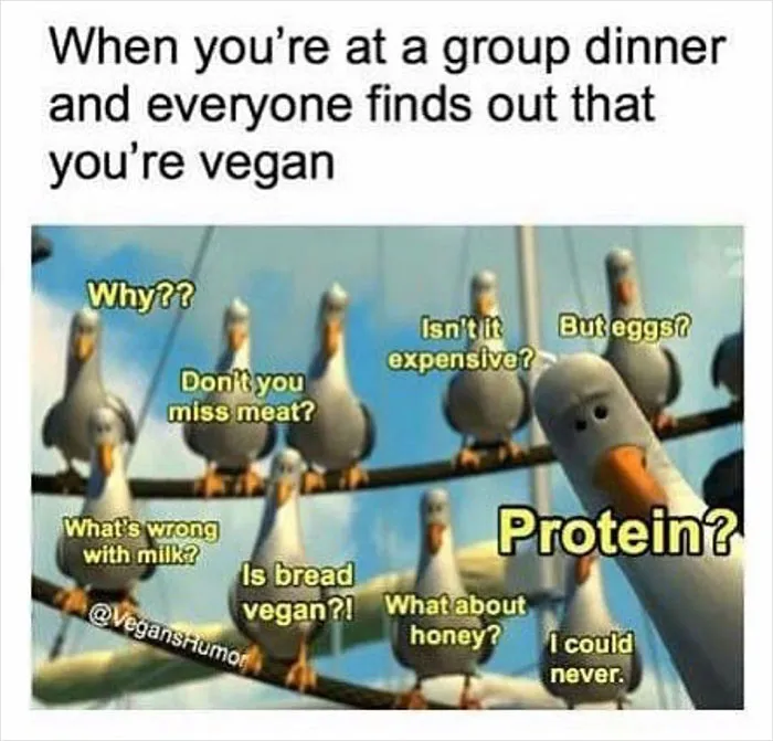 Over 350k People Follow This Instagram Account Dedicated To “Vegan Sarcasm” And Here Are 30 Of The Funniest Memes Posted There