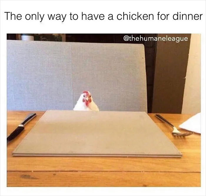 Over 350k People Follow This Instagram Account Dedicated To “Vegan Sarcasm” And Here Are 30 Of The Funniest Memes Posted There