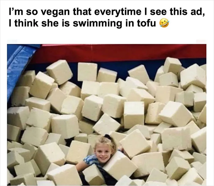 Over 350k People Follow This Instagram Account Dedicated To “Vegan Sarcasm” And Here Are 30 Of The Funniest Memes Posted There