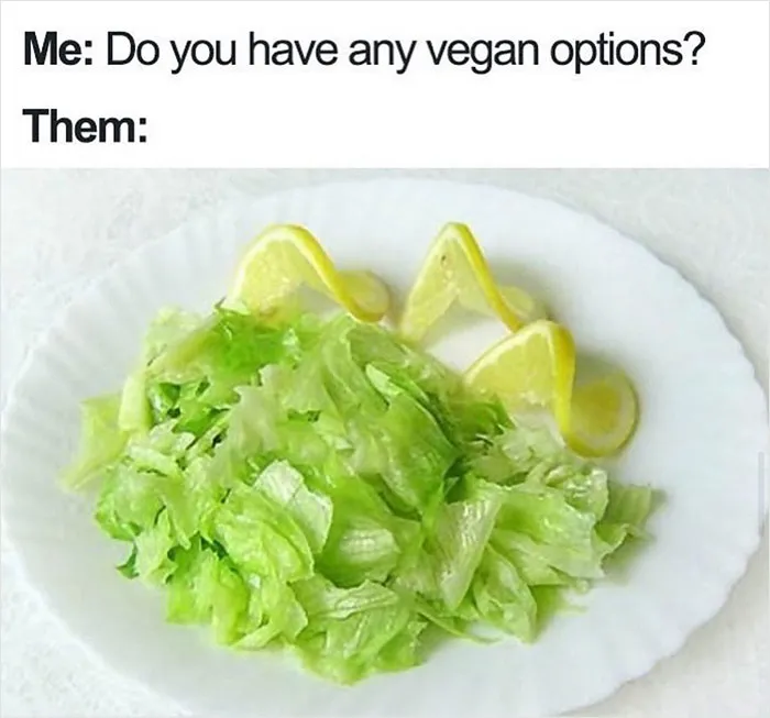 Over 350k People Follow This Instagram Account Dedicated To “Vegan Sarcasm” And Here Are 30 Of The Funniest Memes Posted There