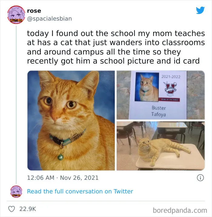 50 Heartwarming Posts From The ‘Wholesome Meets The Internet’ Account To Lift Your Spirits Up (New Pics)