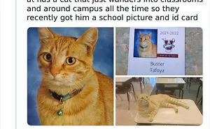 50 Heartwarming Posts From The ‘Wholesome Meets The Internet’ Account To Lift Your Spirits Up (New Pics)