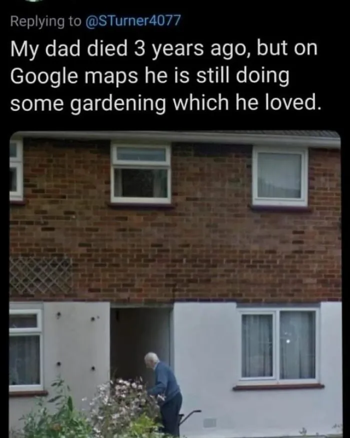 Wholesome-Meet-The-Internet
