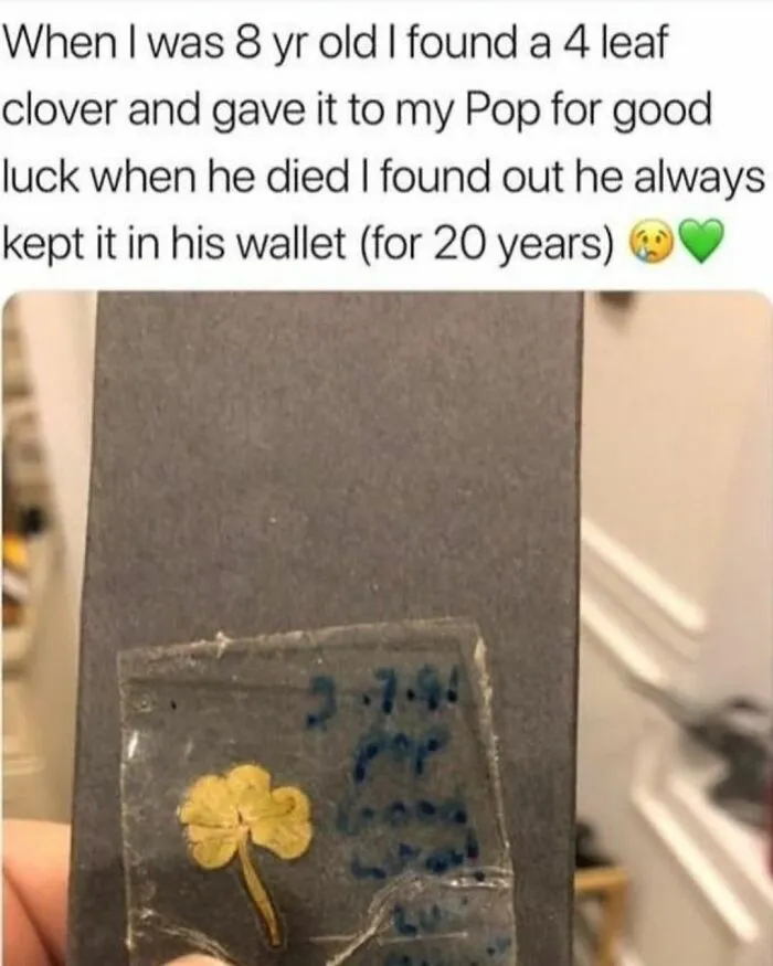 50 Heartwarming Posts From The ‘Wholesome Meets The Internet’ Account To Lift Your Spirits Up (New Pics)