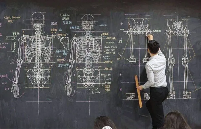 Profesor de anatomía dibujando la lección en la pizarra