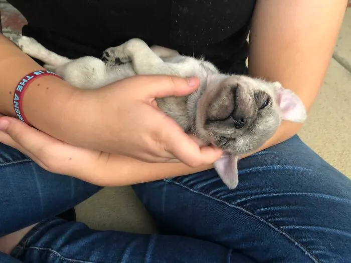Baby Peanut The Day He Was Adopted.