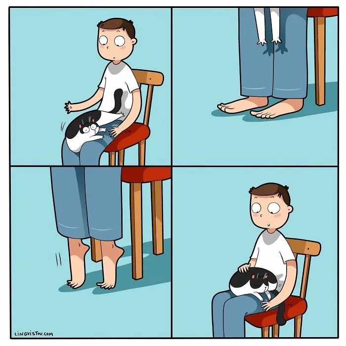Esta artista ilustra cómo es vivir con un gato (25 nuevos cómics)