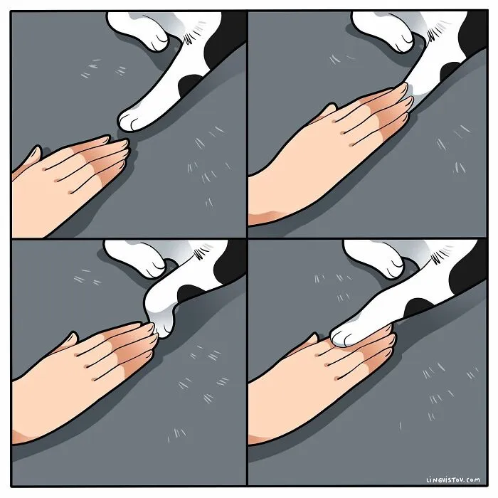 Esta artista ilustra cómo es vivir con un gato (25 nuevos cómics)