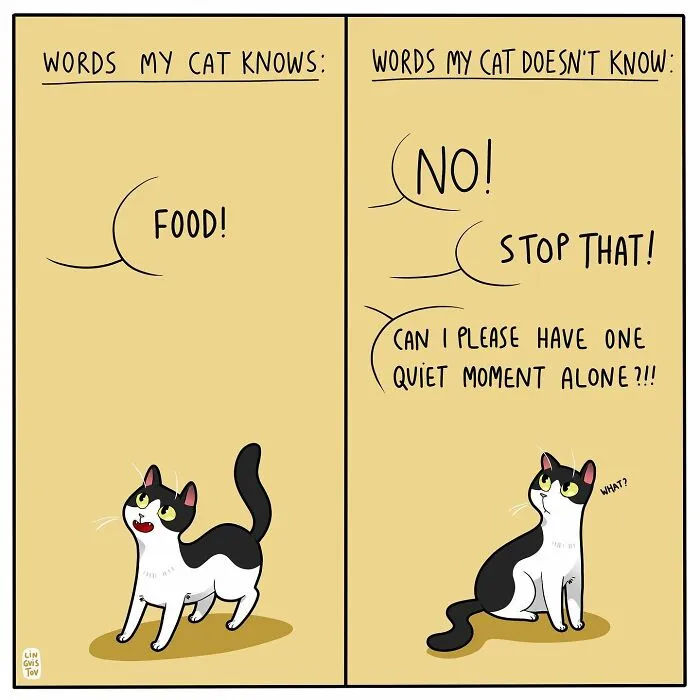 Artist Illustrates Funny Realities Of Living With A Cat (35 New Comics)