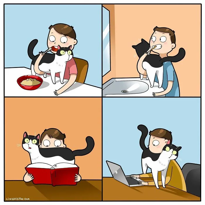 Esta artista ilustra cómo es vivir con un gato (25 nuevos cómics)