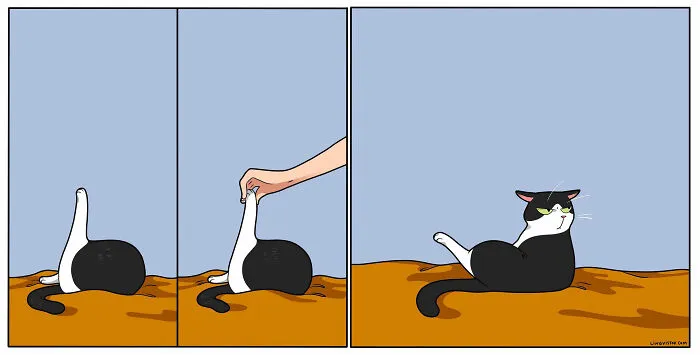 Esta artista ilustra cómo es vivir con un gato (25 nuevos cómics)