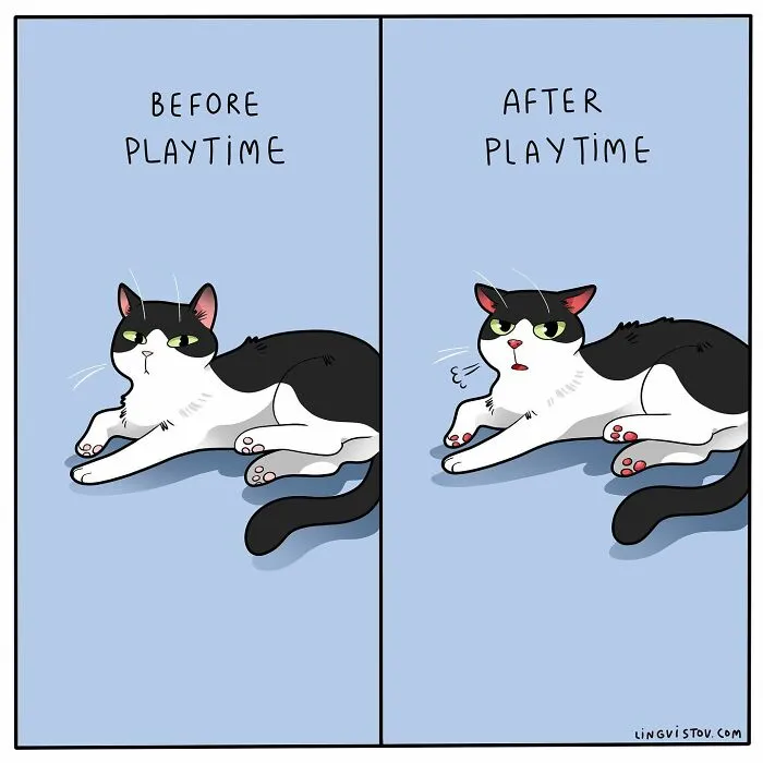 Artist Illustrates Funny Realities Of Living With A Cat (35 New Comics)
