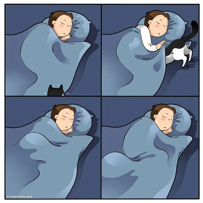 Esta artista ilustra cómo es vivir con un gato (25 nuevos cómics)