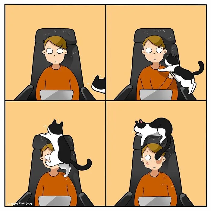 Esta artista ilustra cómo es vivir con un gato (25 nuevos cómics)