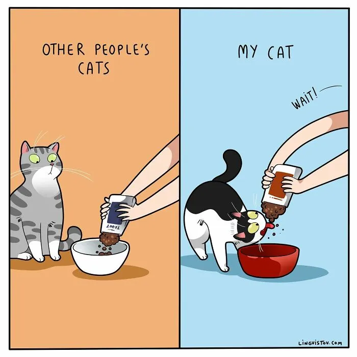 Artist Illustrates Funny Realities Of Living With A Cat (35 New Comics)