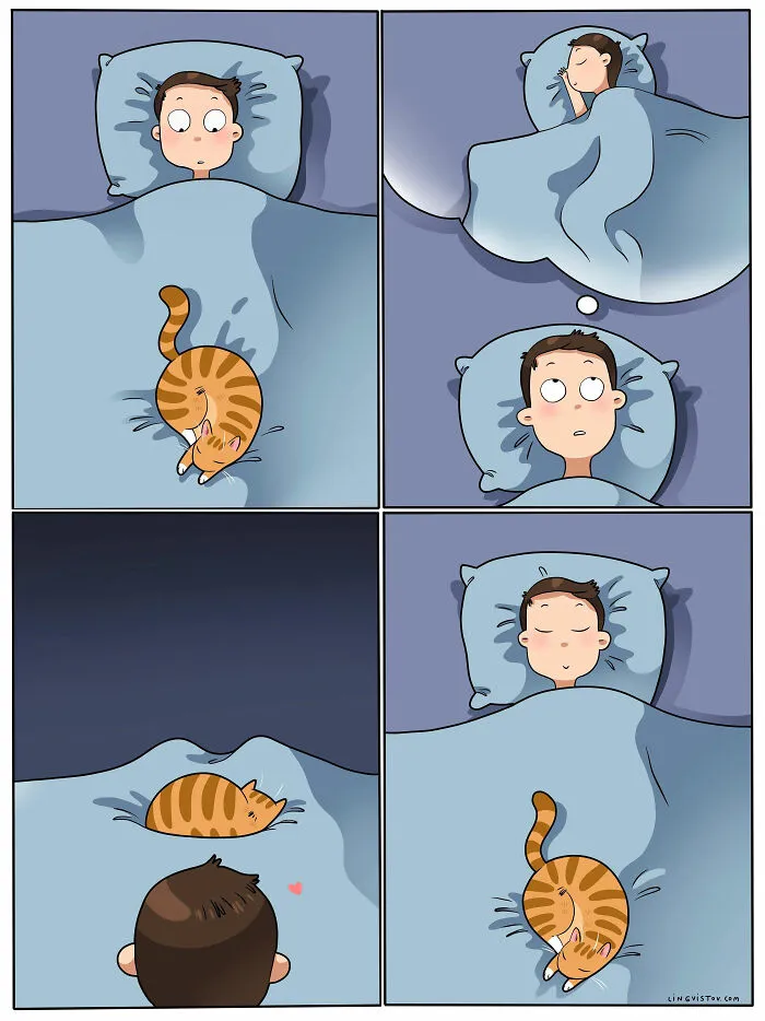 Esta artista ilustra cómo es vivir con un gato (25 nuevos cómics)